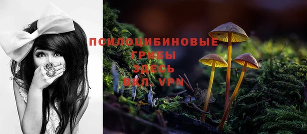 гидра Верхнеуральск