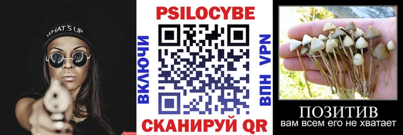 Купить где Миньяр Галлюциногенные грибы мухоморы